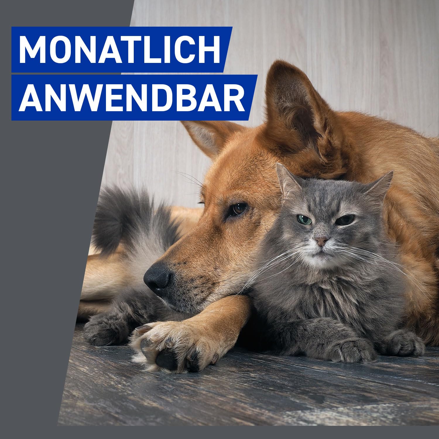 FRONTLINE Spray Hund & Katze gegen Zecken, Flöhe & Haarlinge | 250 ml (2er Pack) - 2,5 mg/ml - auch für Welpen & Kitten ab dem ersten Lebenstag geeignet - mit Sofortwirkung