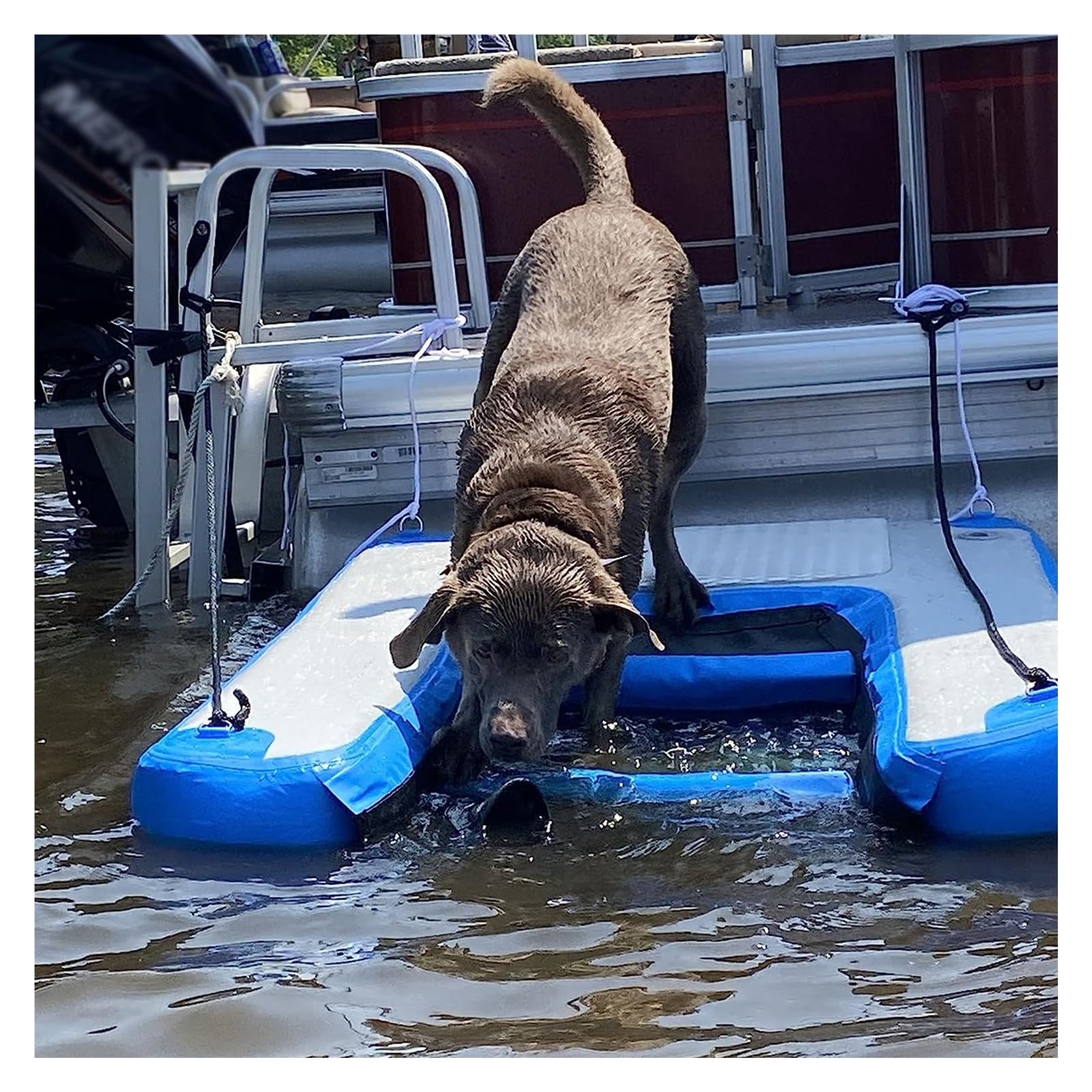 escalera de agua para perros Escalera Flotante Para Barco De Perros, Rampa Acuática Para Perros De PVC De Alta Visibilidad Para Piscina, Plataforma Hinchable Para Mascotas Para Costas/Lagos/río(1pc)