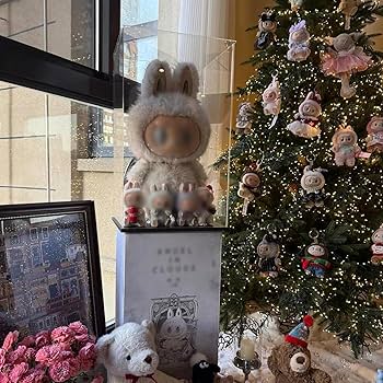 Amazon.com: Thickened Clear Acrylic Display Case for Zimomo for