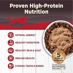 Best Wet Dog Food for Huskies. Top High-Protein, and Health 4 81iJBbOKvnL. AC SL289