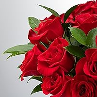 Vista 2 de 24 rosas rojas de tallo largo