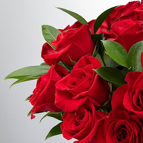 Miniatura 2 de 24 rosas rojas de tallo largo