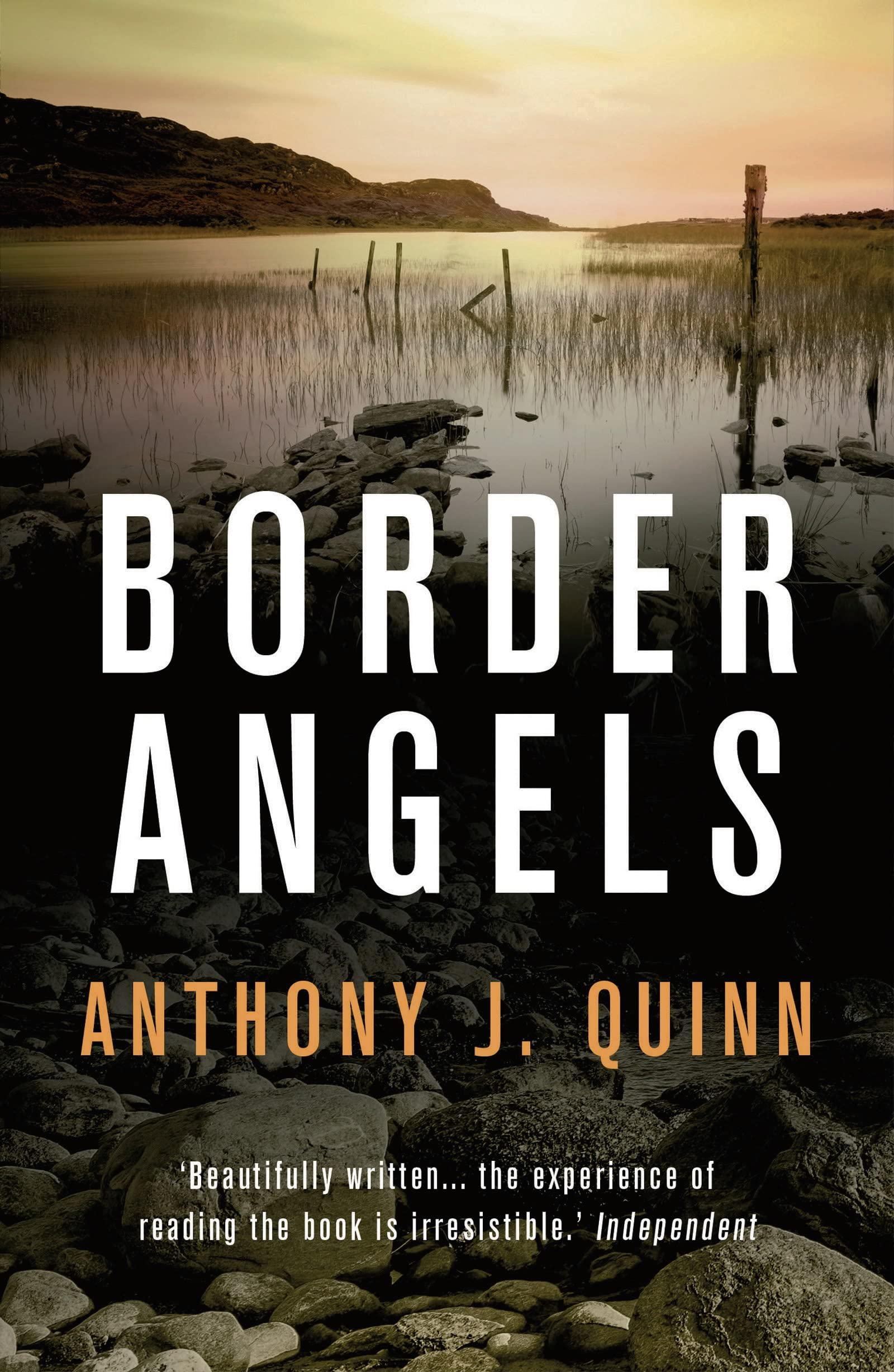 Border Angels by Anthony J. Quinn PAPERBACK 9781781858639