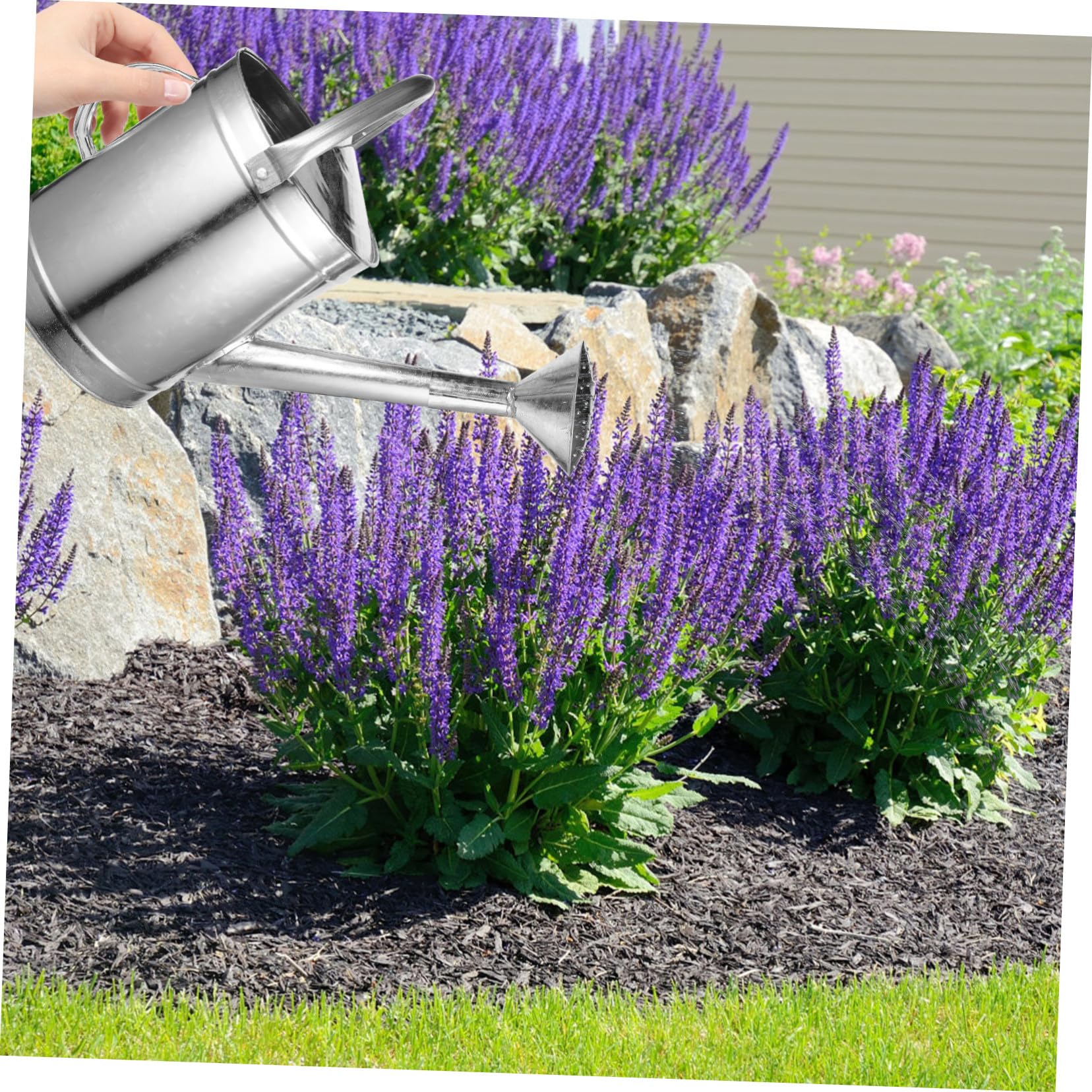 Générique Arrosoir en pour Plantes D'intérieur Arrosoir à Long Bec 5l Poignée pour Arrosage Intérieur Et Extérieur Brumisateur Pratique Et Robuste