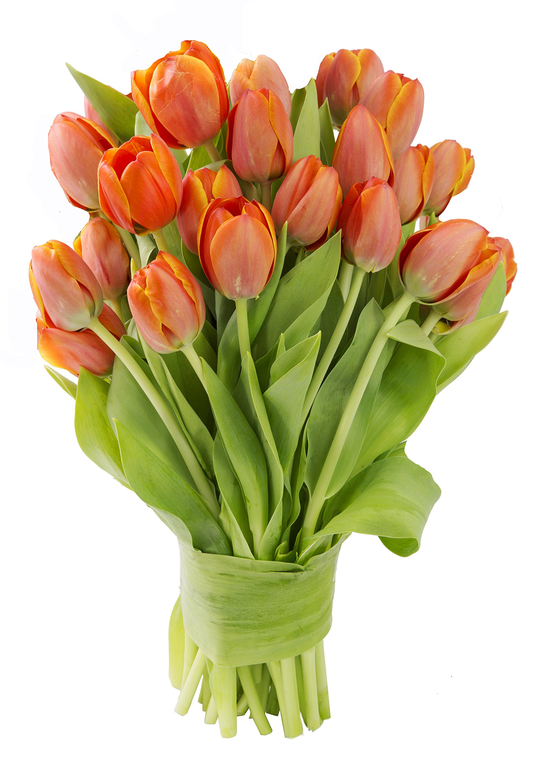 KaBloom PRIME NEXT DAY DELIVERY - Mother’s Day Collection - Bouquet of 20 Orange Tulips| Gift for Birthday, Sympathy, Anniversary, Get Well, Thank You