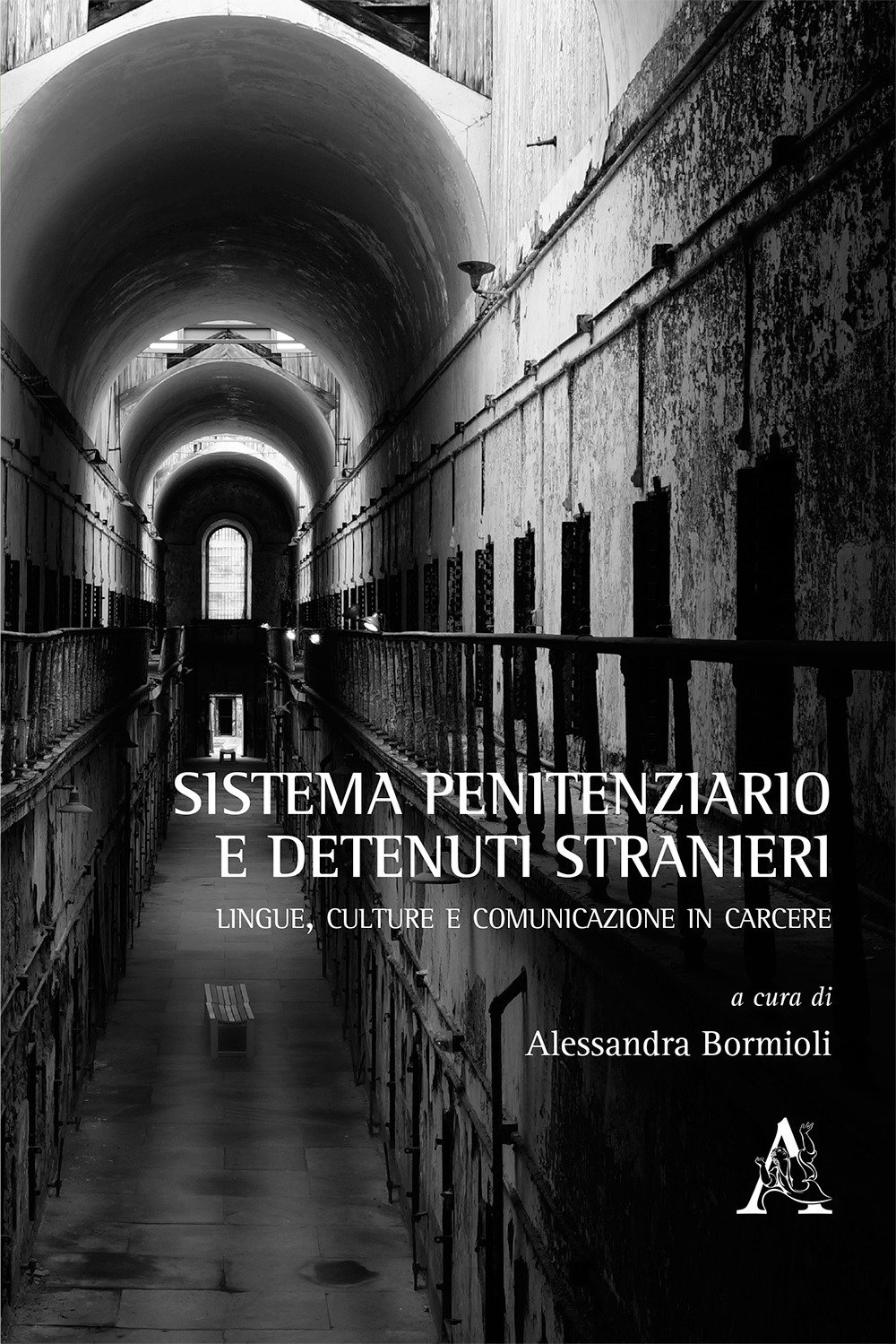 Sistema penitenziario e detenuti stranieri. Lingue, culture e