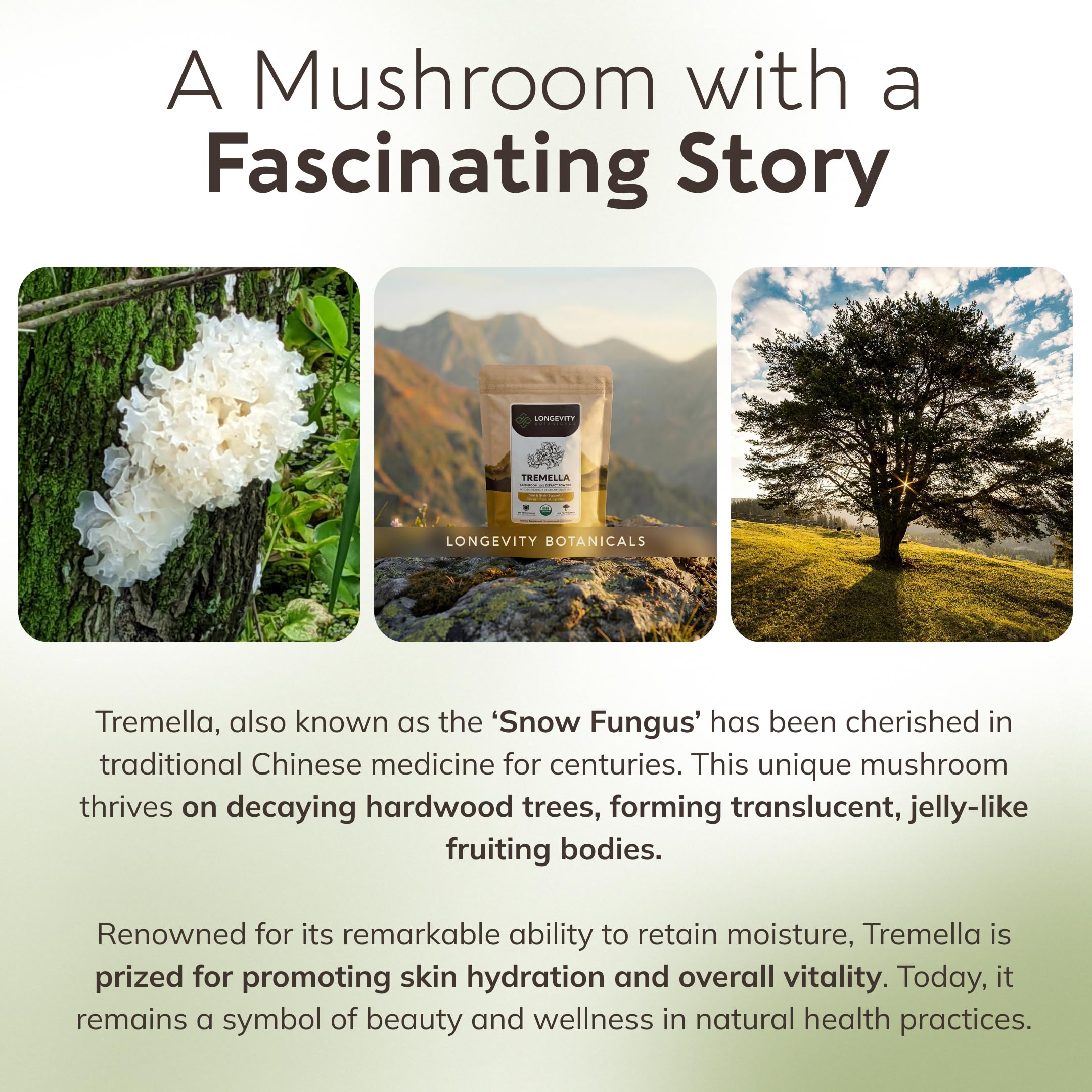Organic Tremella Mushroom Powder Supplement Extract White Jelly Snow Fungus — Amazon image 8