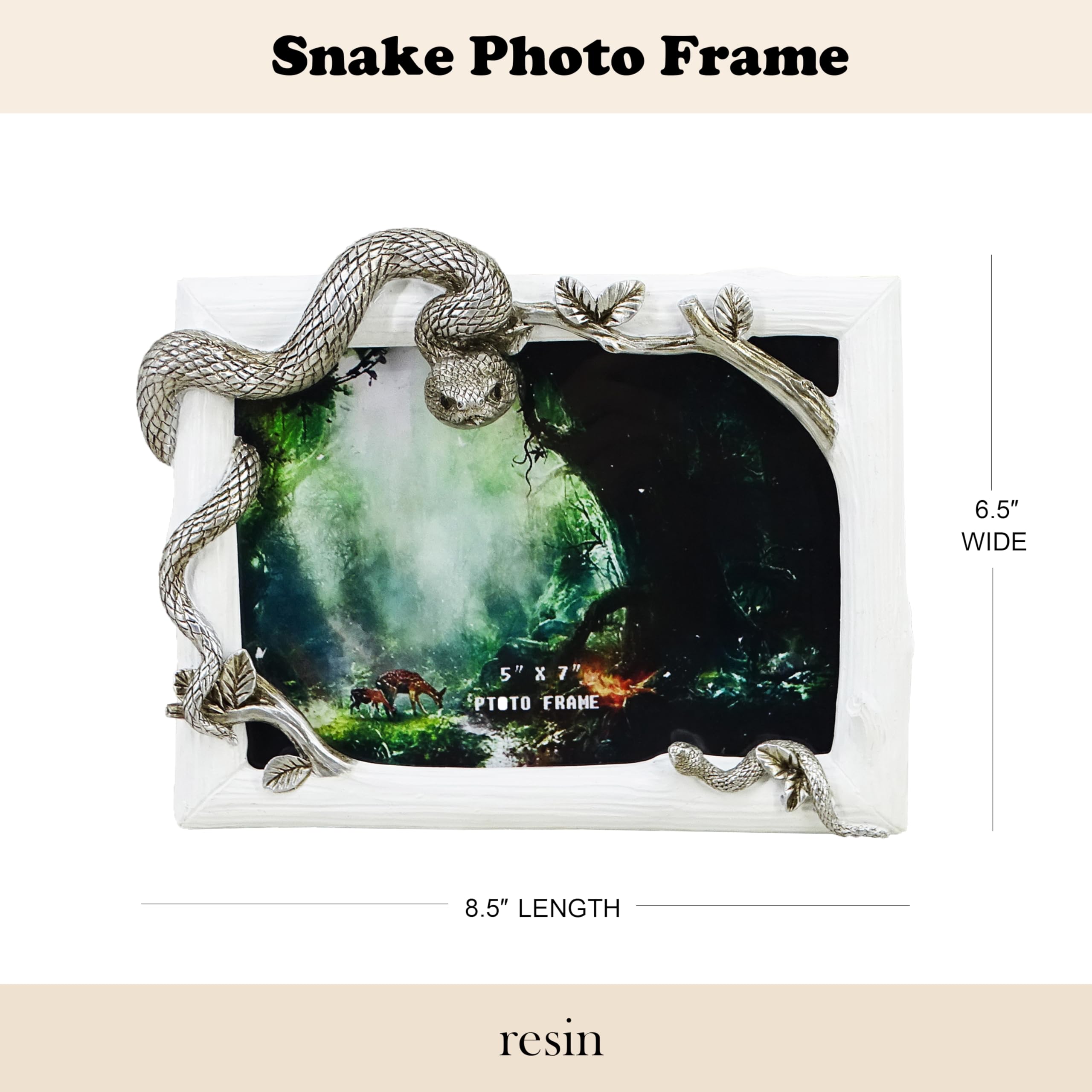 Amazon.com - Decorative Snake Resin Picture Frame - 5x7 Inch