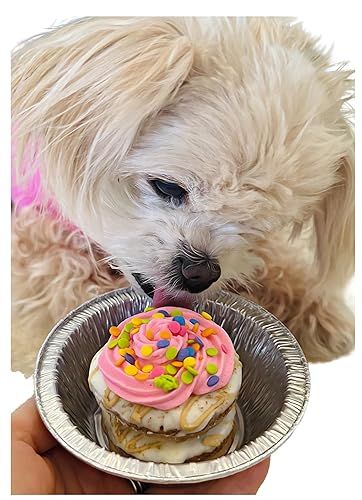Miniatura 1 de Dog Birthday Cake- Pink Petit Four Cake- Bad to the Bone by Dezicakes- Perfect Dog Party Cake Boxed & Decorated- Natural Ingredients -Peanut Butter