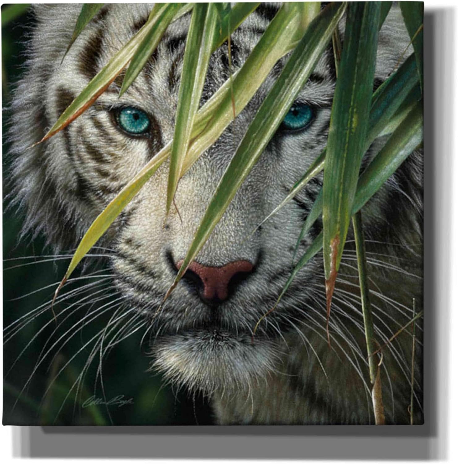 Epic Graffiti 'Watching and Waiting' by Collin Bogle, Canvas Wall Art, 12"x12"