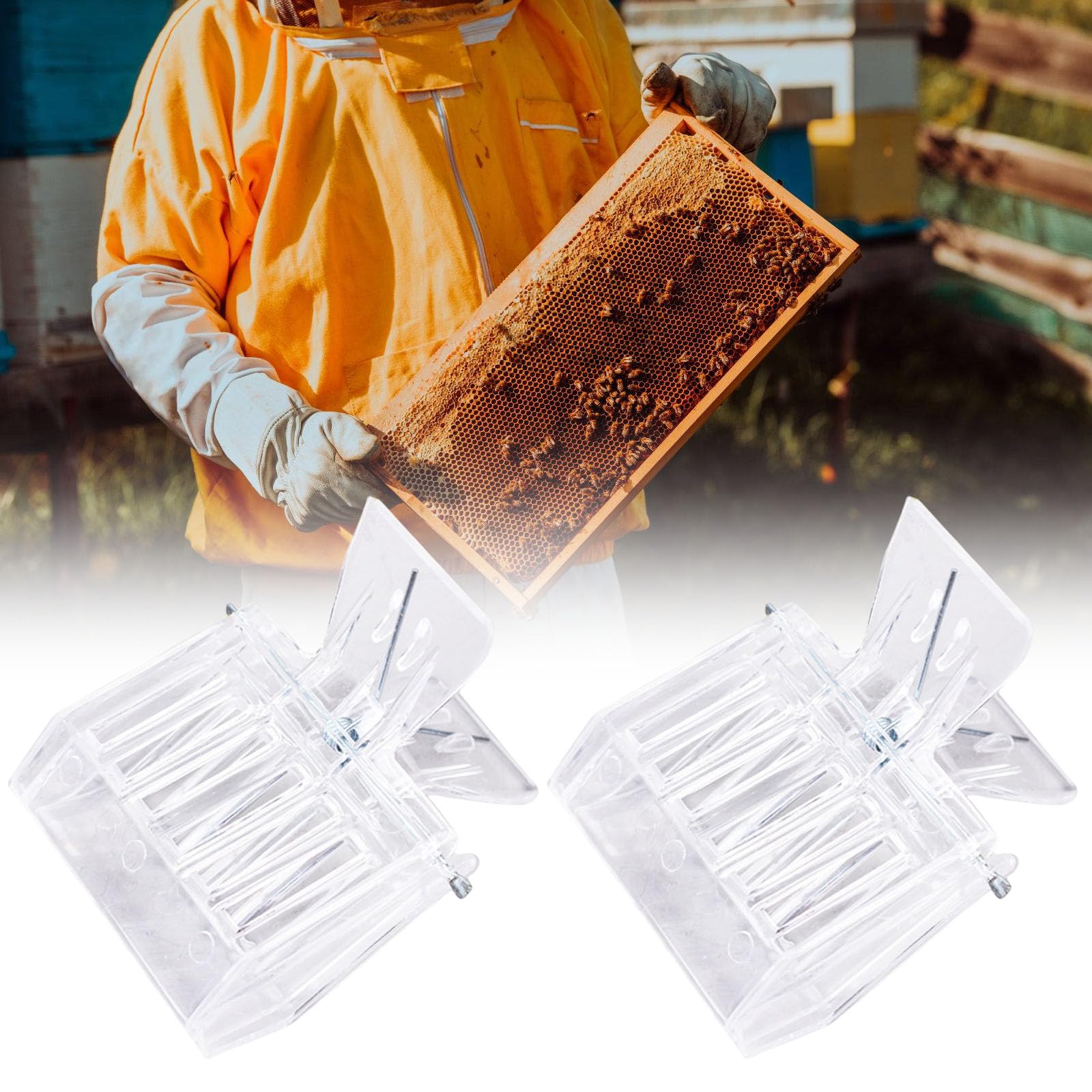 Strumento di apicoltura efficiente adatto per le api regine cattura e gestione delle colonie Sciame attività di fusione cura apiaria confortevole apicoltura Regina Clip per apicoltori