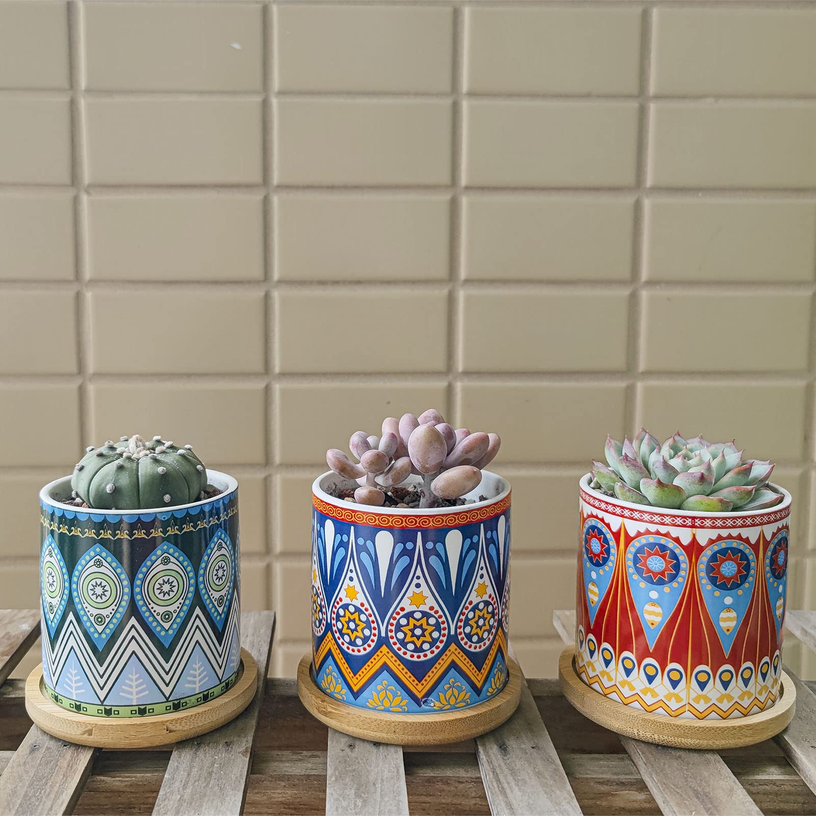 10 PZ PIATTINO Per Piante Di Bambù Cactus Vaso Per Piante Di Bambù Cactus 267488975401 - Foto 2