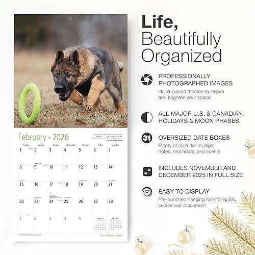 Miniatura 2 de RED EMBER German Shepherd Puppies - Calendario mensual de pared colgante 2024  12 x 24 pulgadas abierto  Papel grueso y resistente  Regalo  Lindo