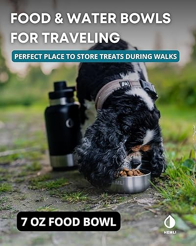 Miniatura 6 de Botella de agua para perros de 32 onzas, botella de agua de viaje aislada para perros, dispensador de botellas de agua para mascotas de acero