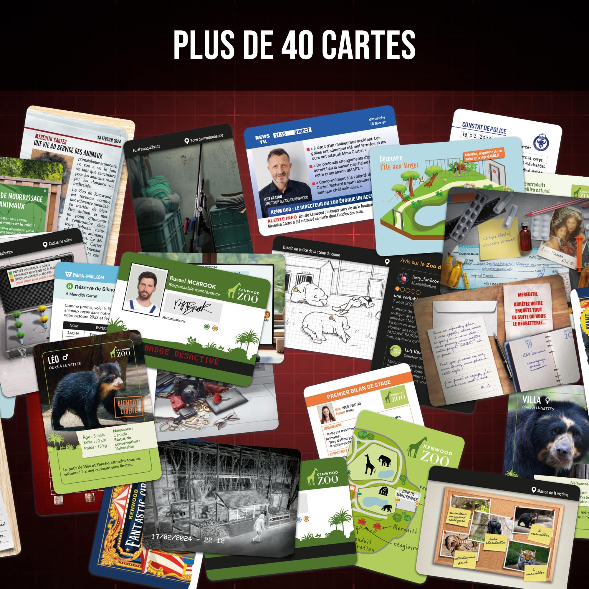 Platonia Games Pocket Criminal Records, Who Killed Meredith Carter's Murder in a Zoo in Canada, New Concept - Image 4
