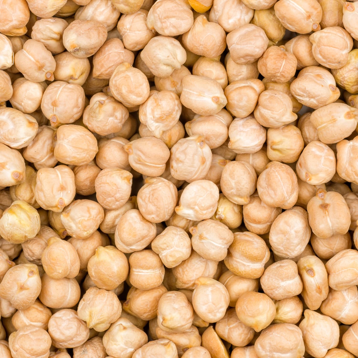 AFROASE - Kichererbsen - Multipack (10 X 1 KG)