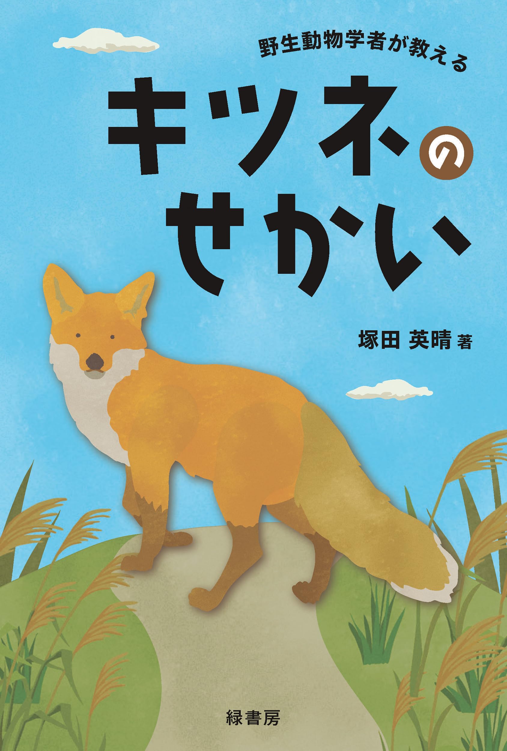 ★きつねページ★ 野生動物学者が教えるキツネのせかい | 塚田 英晴 |本 | 通販 | Amazon