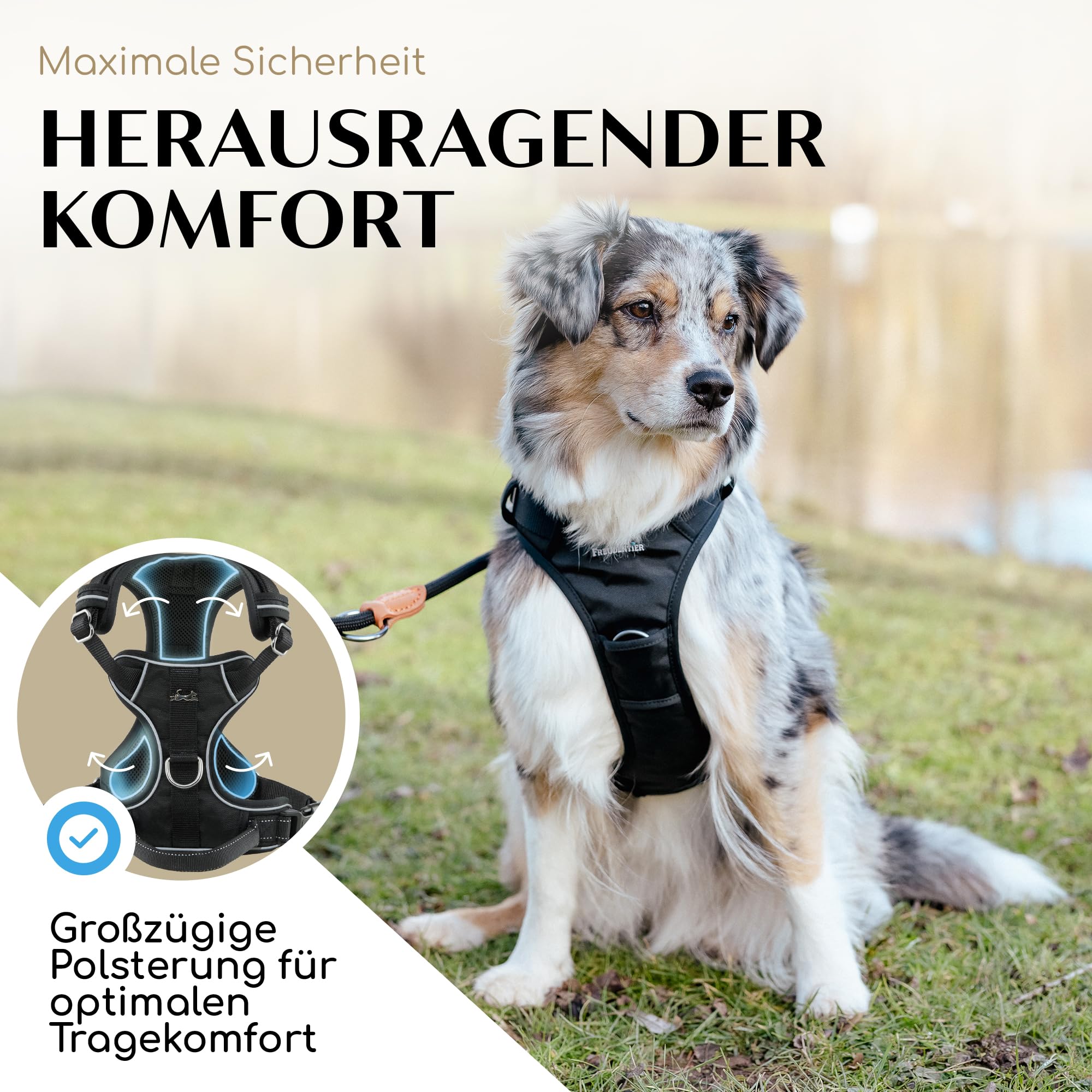 FREUDENTIER Hundegeschirr mit Griff, atmungsaktiv gepolstert - Bombenfester Sitz & maximale Sicherheit - Anti Zug Hundegeschirr kleine, mittelgroße & Grosse Hunde - Hunde Geschirr (Black, L)