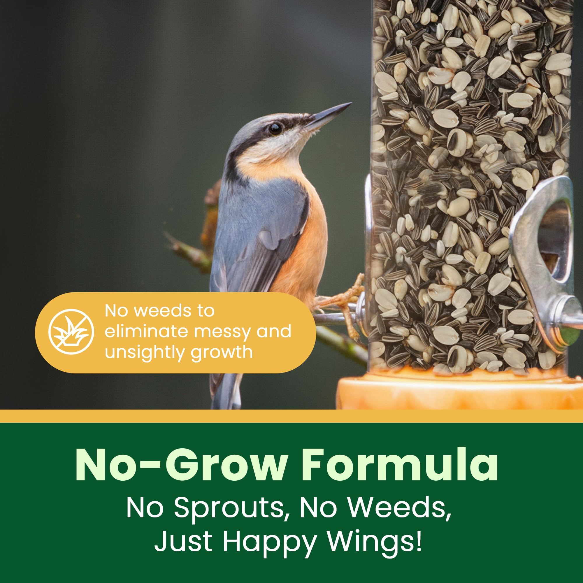 Happy Wings Comida para pájaros cantores sin crecimiento (mezcla de semillas de girasol/granos, semillas de cártamo y cacahuetes) - Alimento para pájaros altamente nutritivo (5 libras)