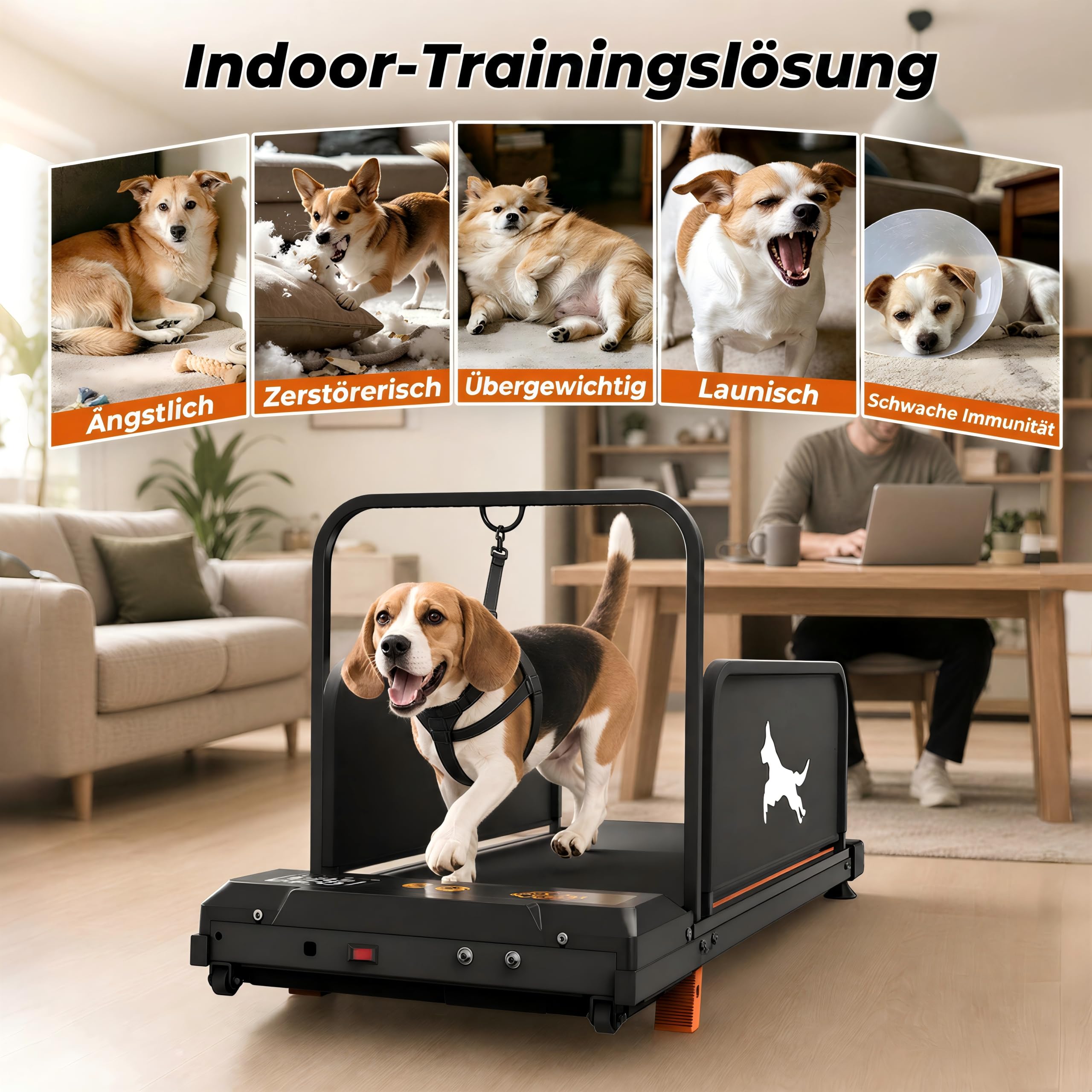 Hundelaufband für Kleine & Mittelgroße Hunde, 90 × 37.5 cm Laufbereich | Mit Fernbedienung, 1–6 km/h, Bis 100 kg, 2,5 PS Leiser Motor, 12 Programme, Haustier Trainingsgerät für Indoor Outdoor
