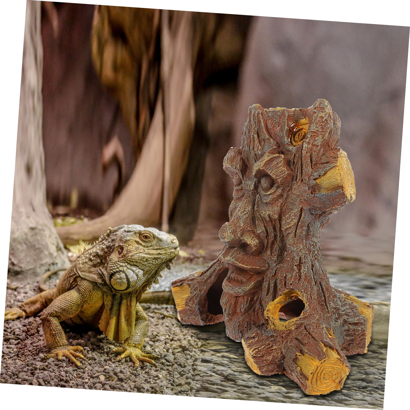 Cachette pour Reptiles et Lézards en Résine, Grotte Décorative Effet Trou D’Arbre, Taille Moyenne, Ornemente Terrarium Tortue et Amphibiens, Refuge Intérieur pour Petits Reptiles