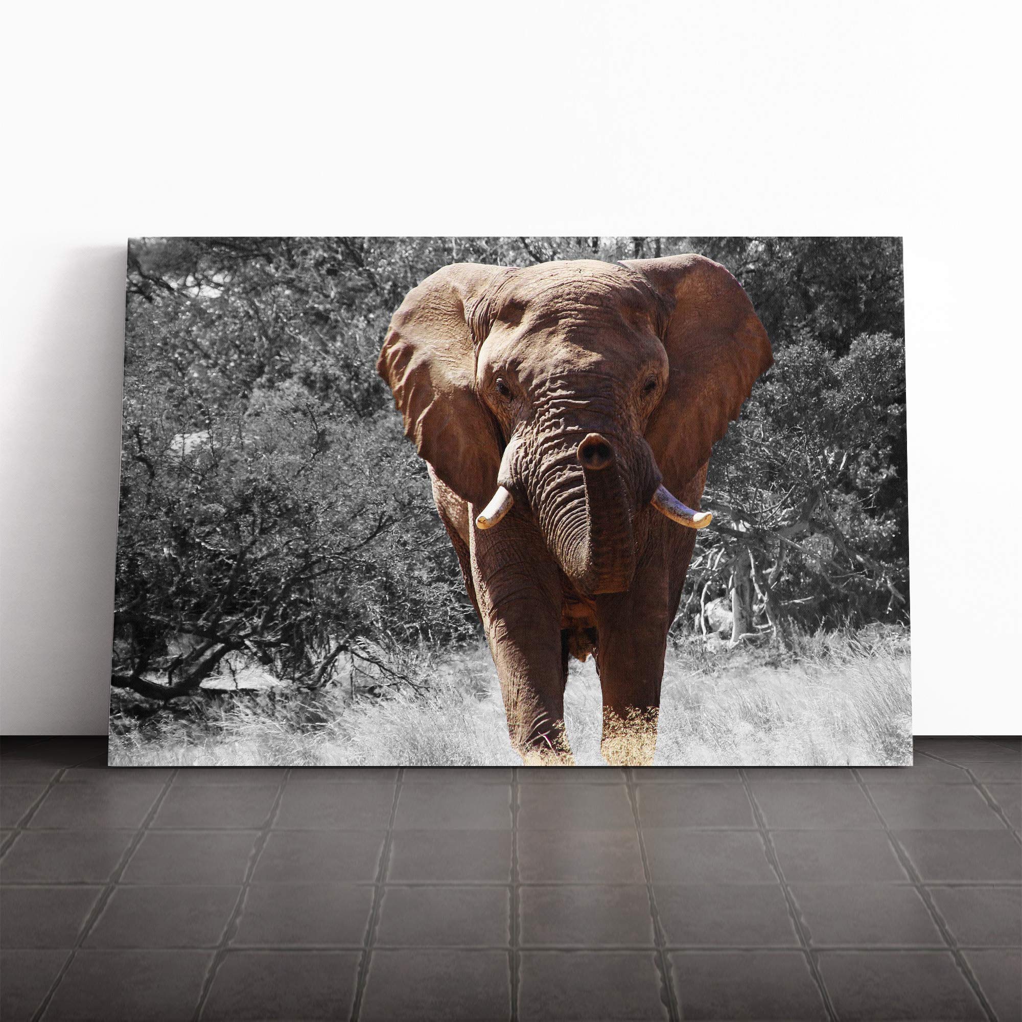 Elephant (1) Canvas Print | Gallery Wrapped 30mm Frame Wall Art | 30x20 inches | Ready to Hang | Modern Animals Picture | Living Room Bedroom Lounge Office