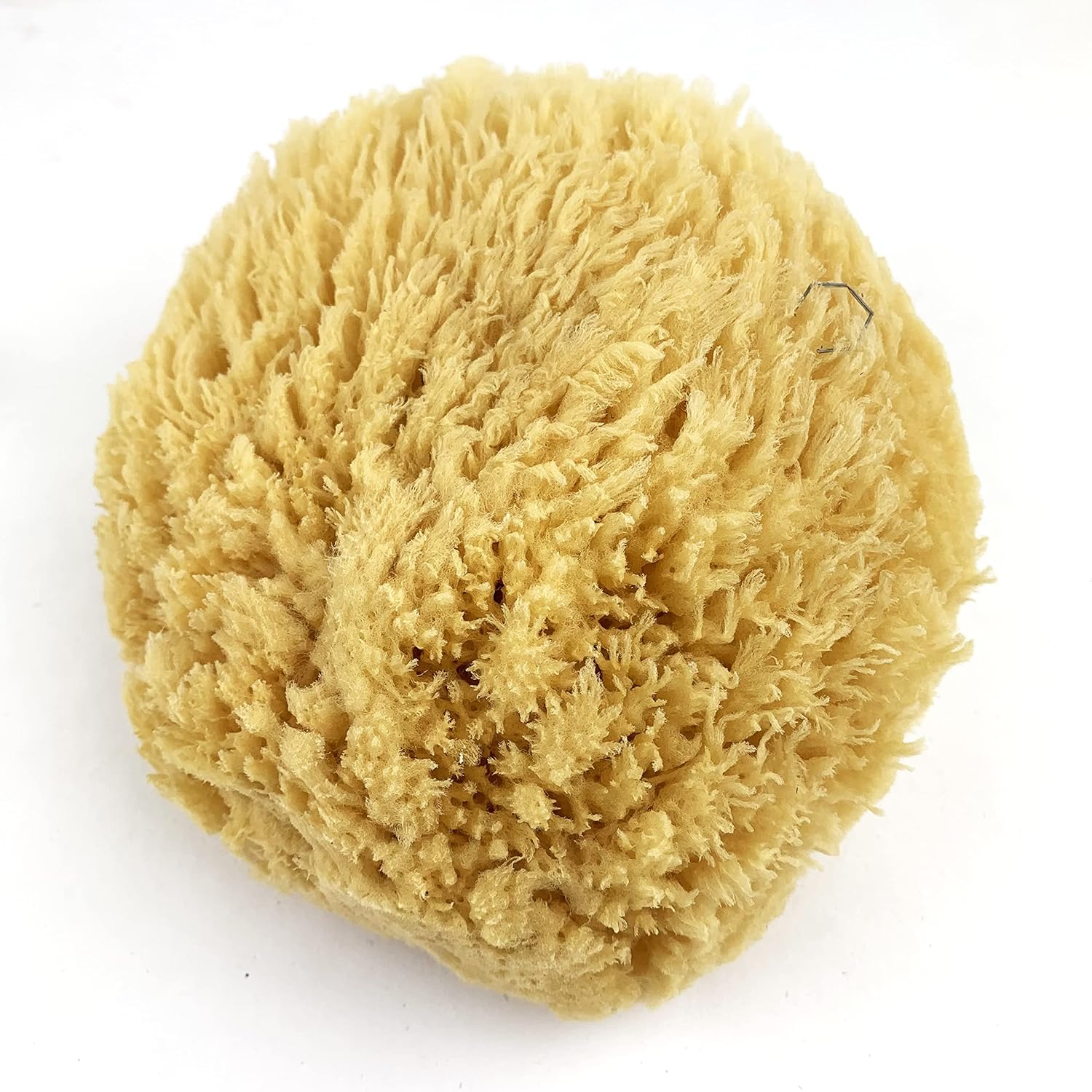 Heyiwell 1PC Large Natural Sea Sponges,Bath Sponges,Natural