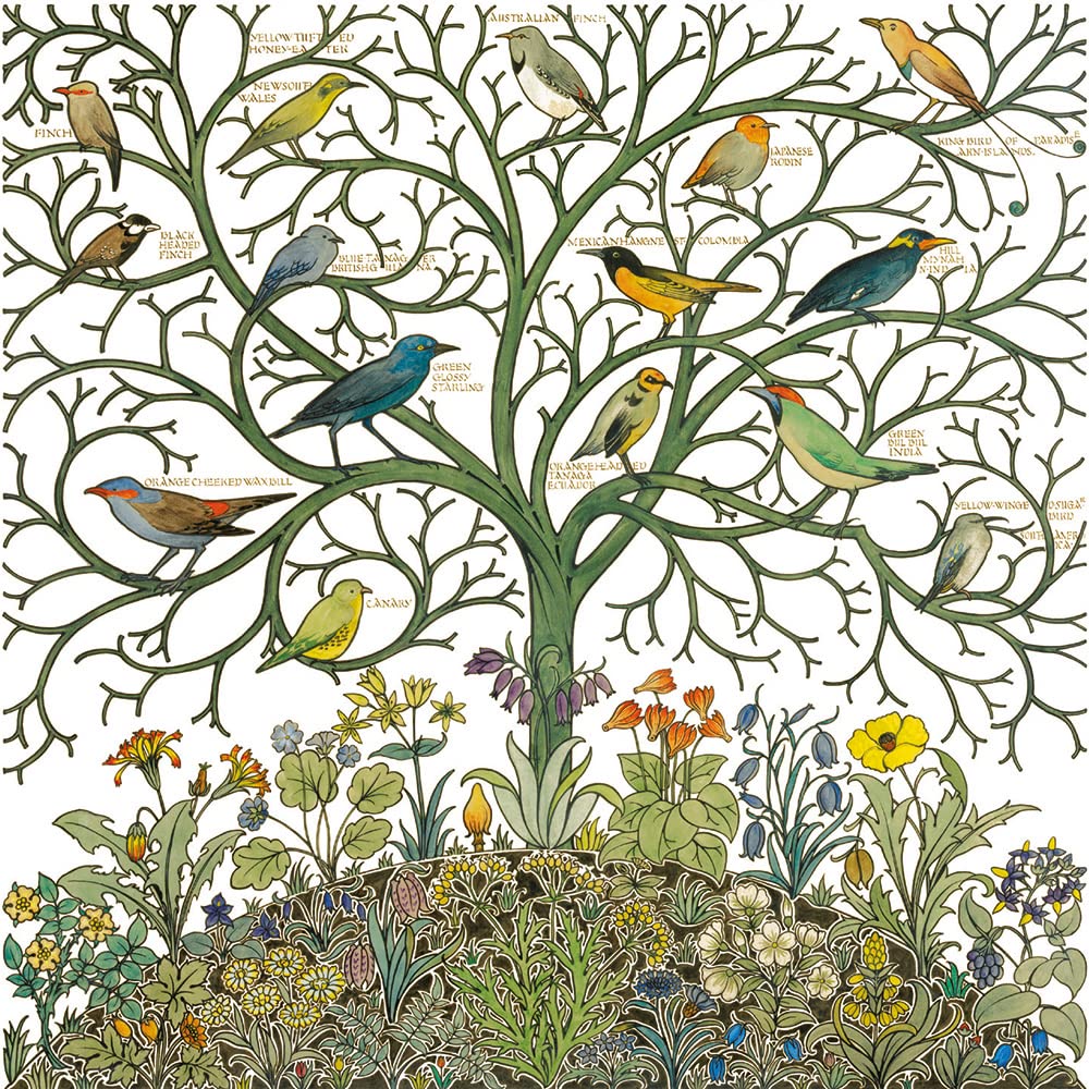 Museums & Galleries - 20 Notecards & Envelopes Boxed (V&A - Arts & Crafts Birds) ETE047, Multicoloured, 12.5 x 12.3cm - Image 3
