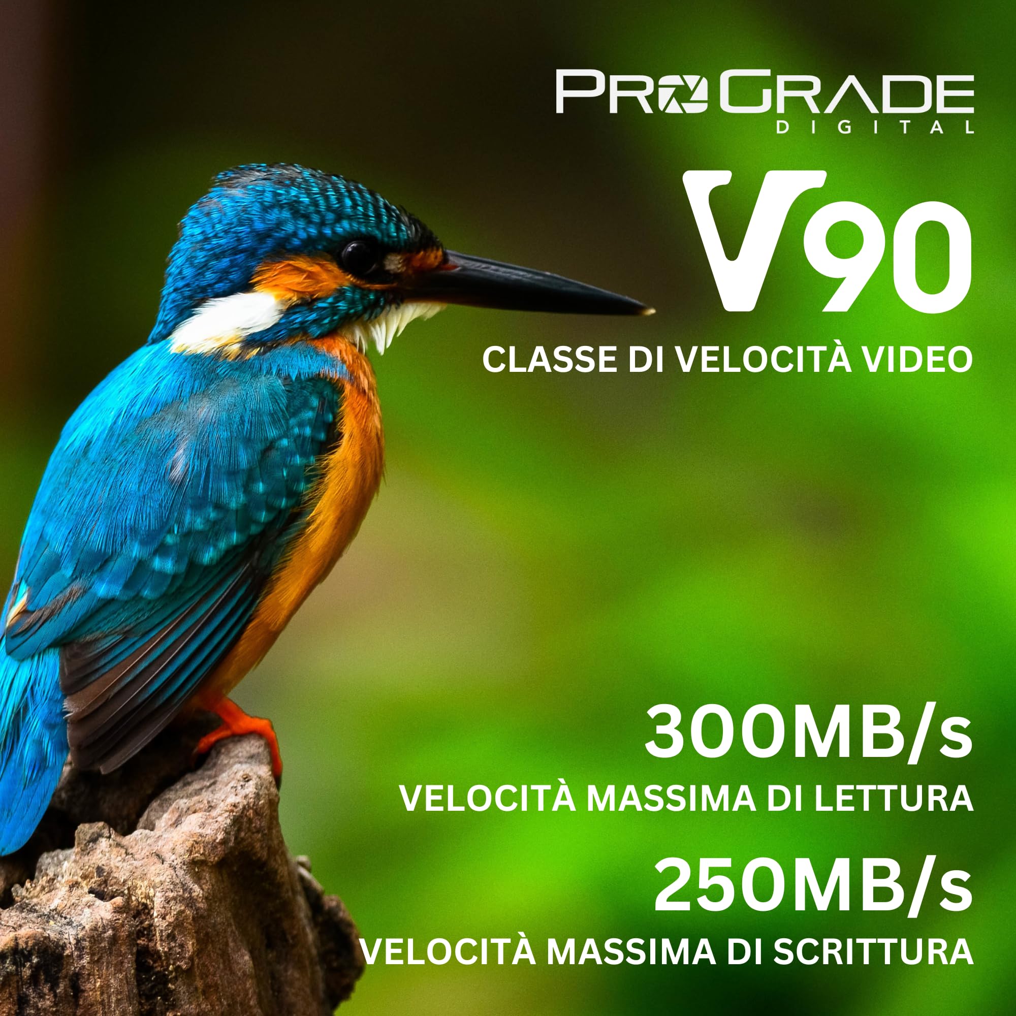 Scheda di memoria ProGrade Digital SDXC UHS-II V90 300R (512GB)