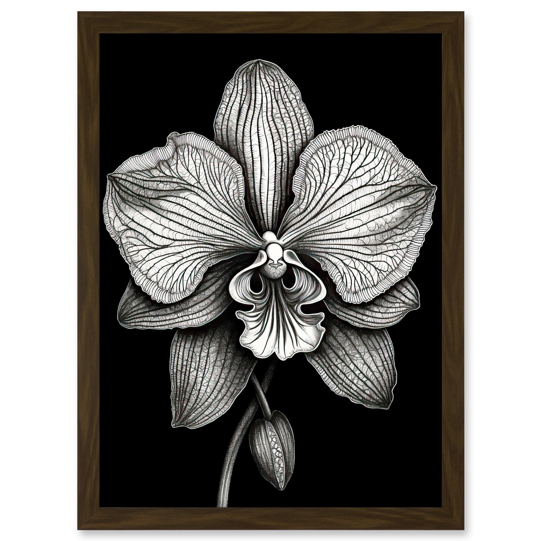 Artery8 Detailed Orchid Flower Petals in Black and White Artwork Framed A3 Wall Art Print