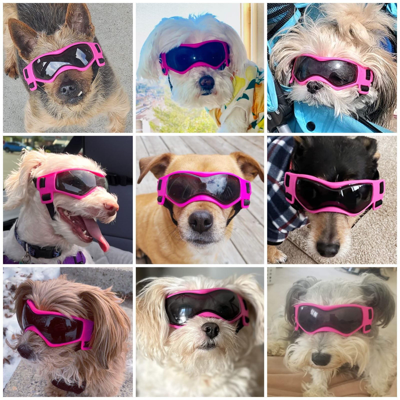 Eye Protection Dog Sunglasses Kmart Spy Gear Spy Glasses Review