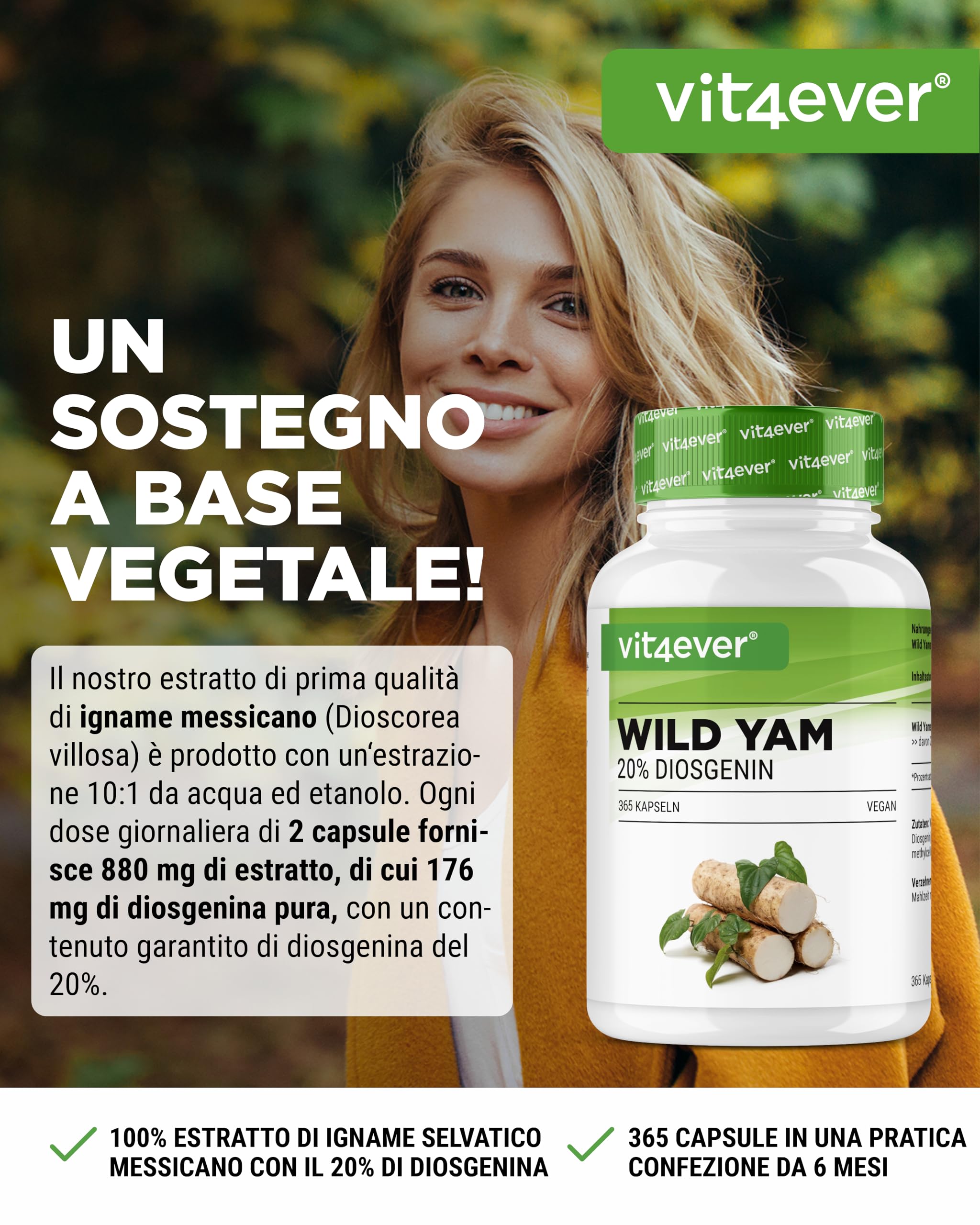 Estratto di radice di igname selvatico - 365 capsule - Radice di igname selvatico originale messicano - Dosaggio elevato con 880 mg di estratto (compresi 176 mg di diosgenina) per dose giornaliera