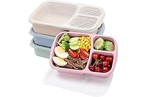 4-Pack Bento Lunch Box Set: Optimal Lunch Time Storage Solution