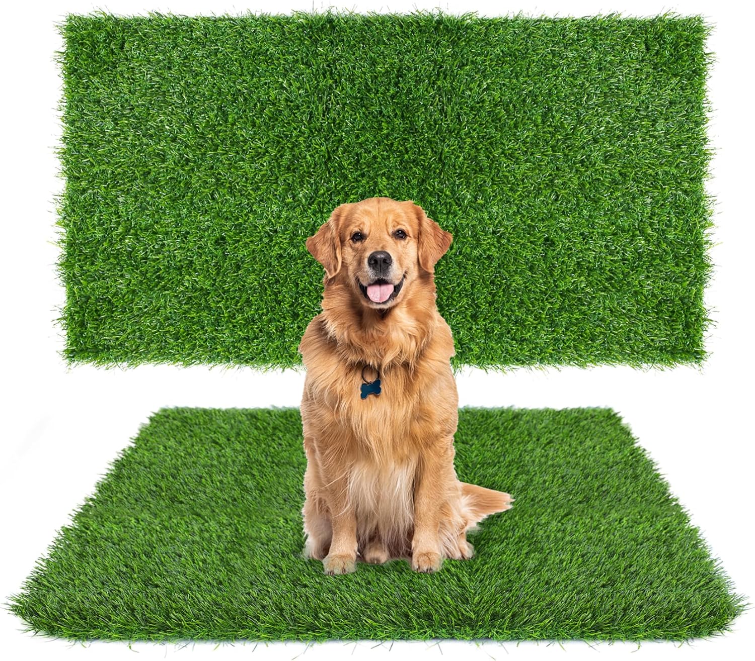 GLOBREEN Thick Artificial Grass Pee Pads for Large Trinidad and