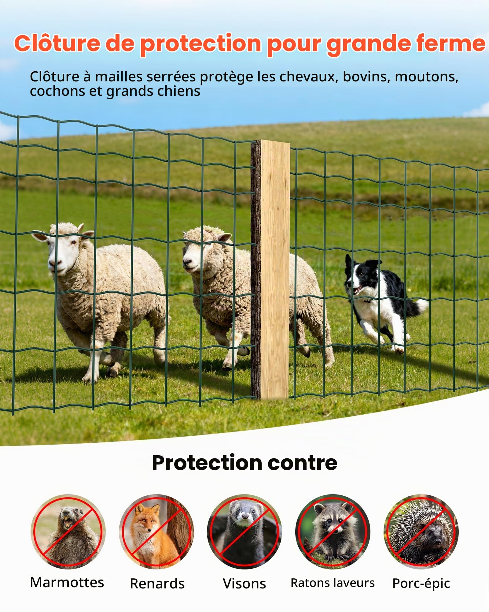 VEVOR Grillage Métallique Vert Maille 10 x 10 cm Rouleau Grillage Clôture à Mouton Soudé 1 x 20 m Fil en Fer Galvanisé Revêtement Vinyle PVC Diamètre Fil 2,1 mm pour Jardin Enclos Cage Animaux Ranchs