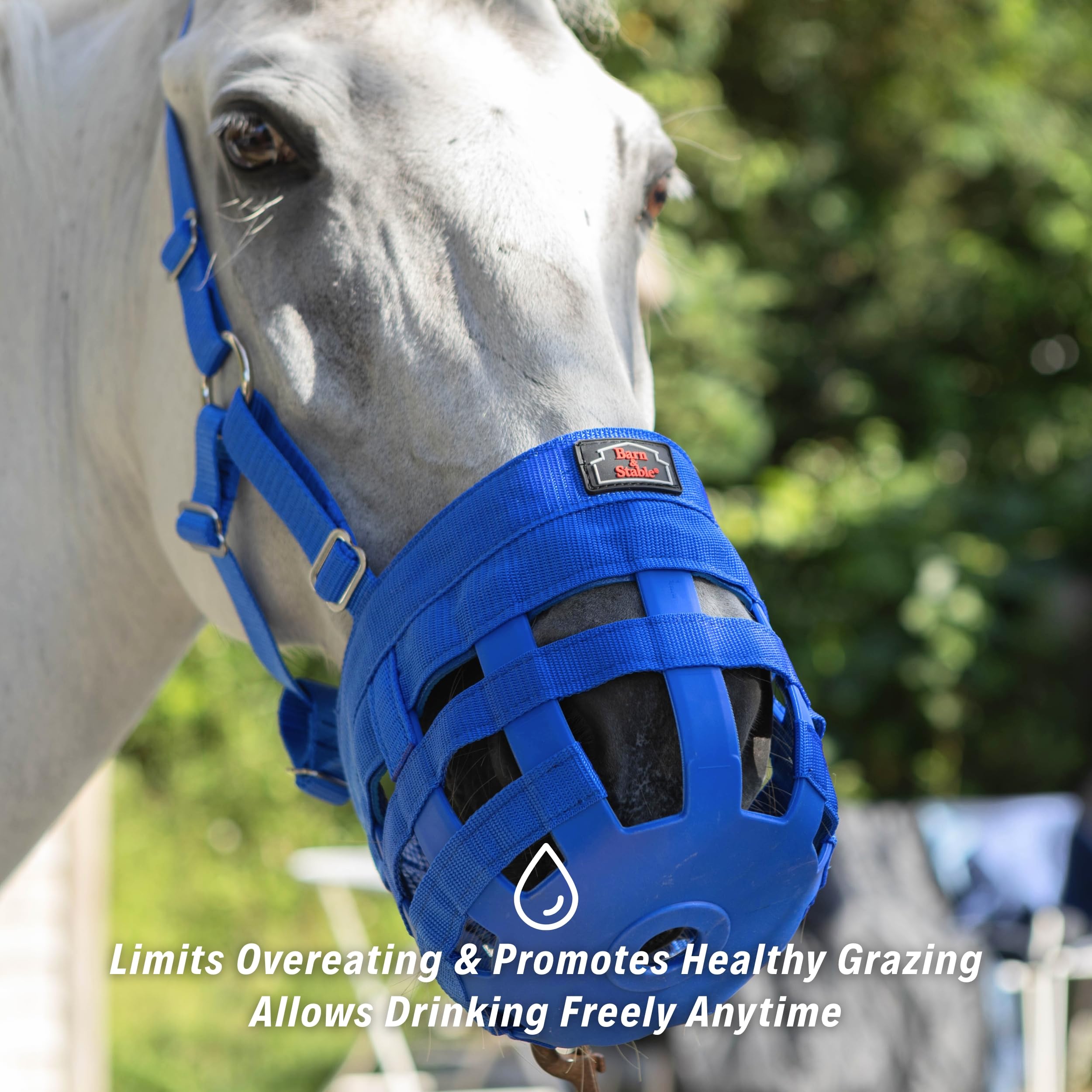 BARN & STABLE Maulkorb für Pferde, mit verstellbarem Halfter, leicht zu atmen, bequeme Passform, mit Schnallen und Riemen, verhindert Laminitis
