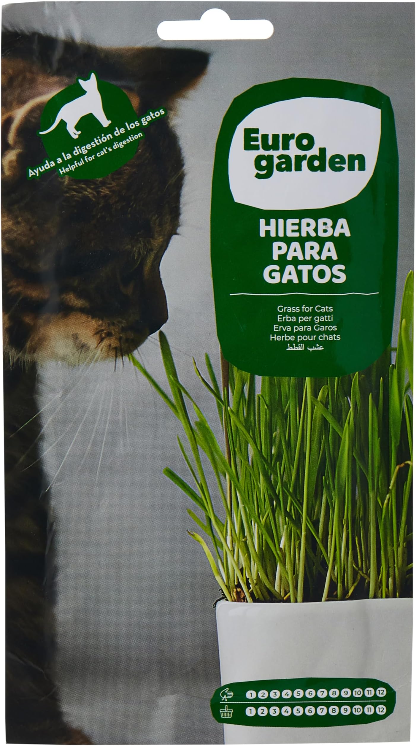 Cat Grass Seeds 15 G
