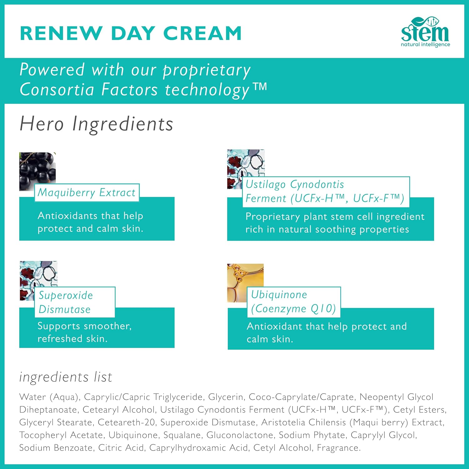 STEM Natural Intelligence ReNew Cream, Daily Face Moisturizer Cream, Luxury Facial Moisturizer for Women and Men, Premium Facial Skin Care Products with Antioxidants, Neck and Face Cream, 1 oz