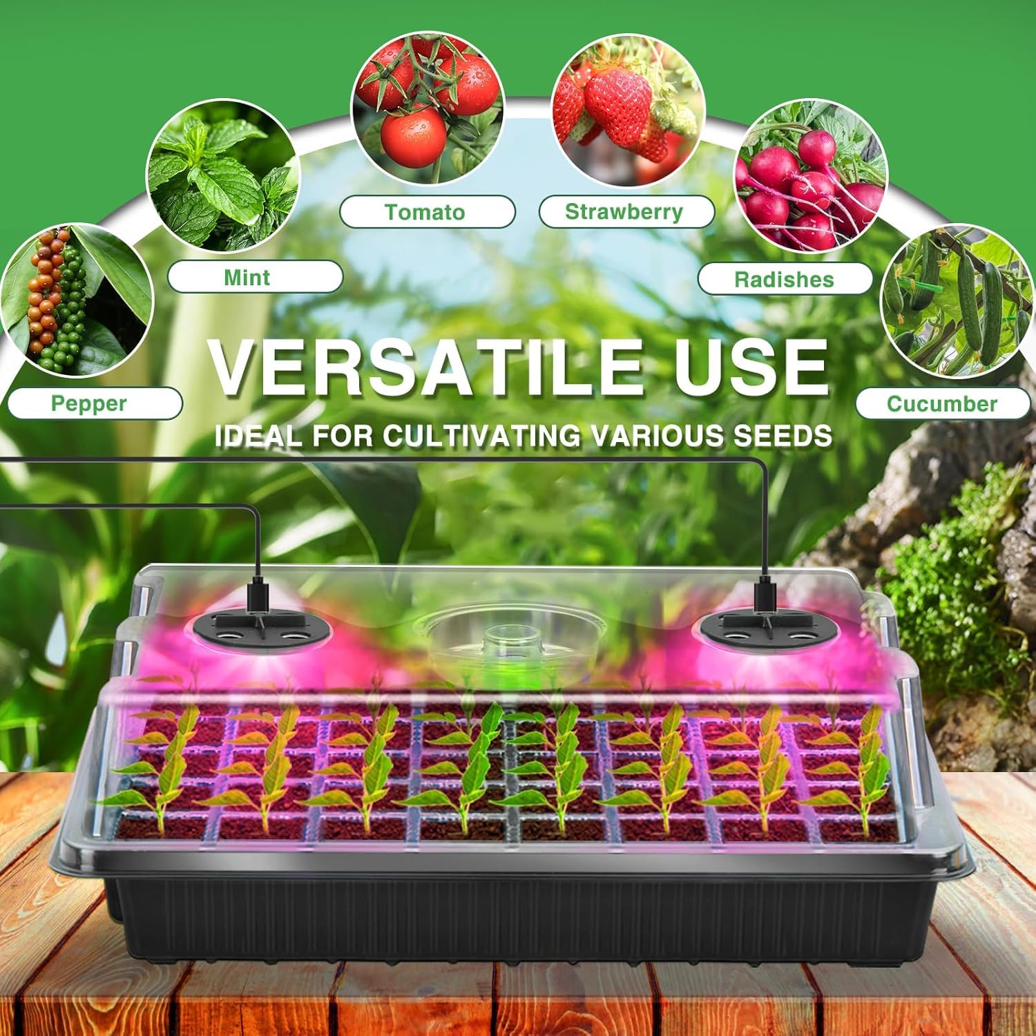 YAUNGEL Vassoio Germinazione con Luce di Coltivazione, 2 Pezzi 80 Celle Semenzaio Germinazione, Mini Serra Propagatore con Luminosità Regolabile e Regolatore di Temporizzazione, Nero
