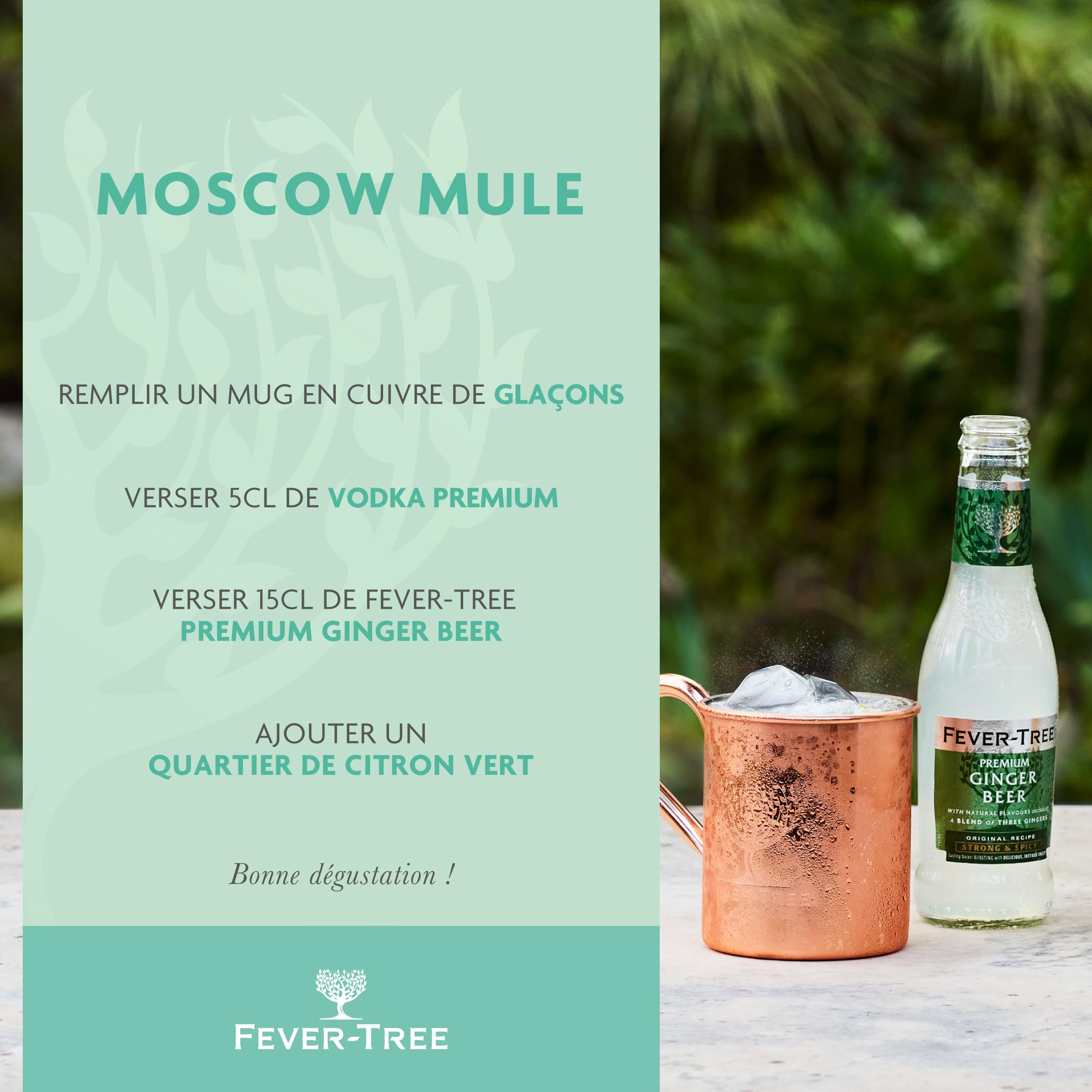 Fever-Tree Ginger Beer 4 x 200 ml (Pack of 6, Total 24 Bottles)