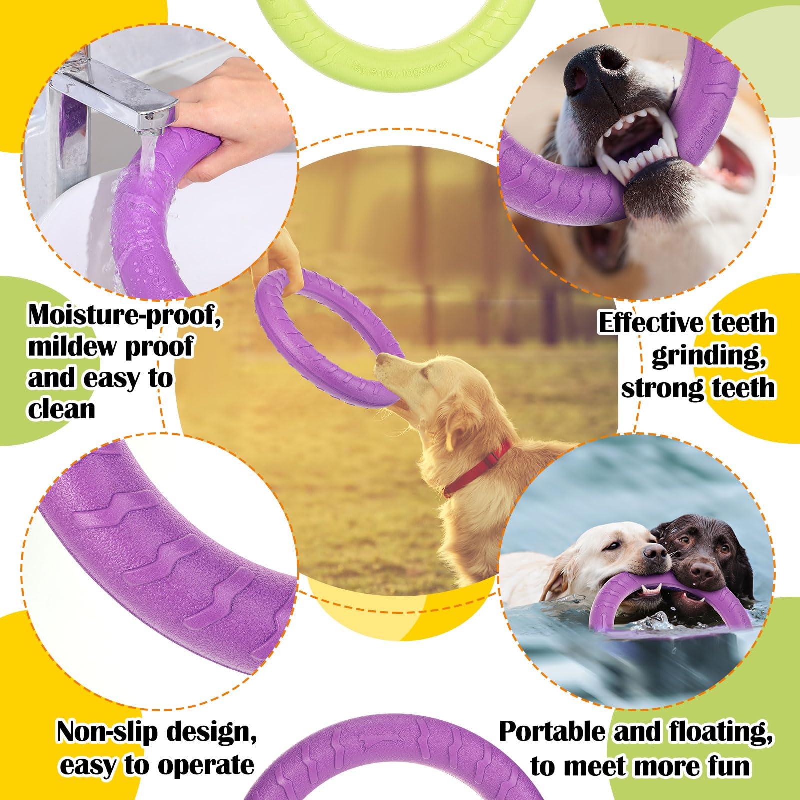 Pet Supplies : Liliful 4 Pcs Dog Rings Toy, Dog Training Ring