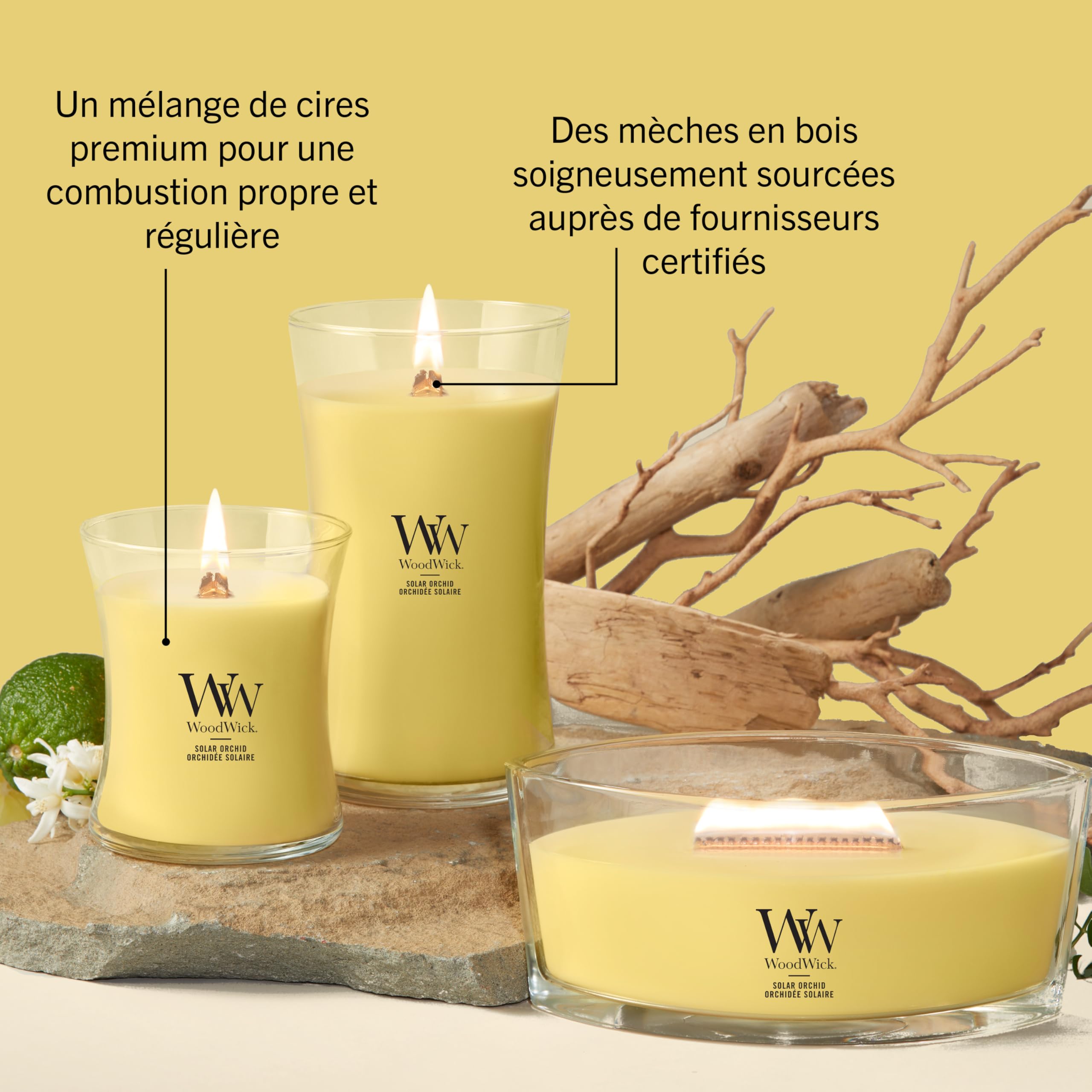 WoodWick Bougie parfumée | Grande bougie sablier | Orchidée solaire | Cadeaux parfaits pour femmes