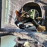 Review Image by Harold C.