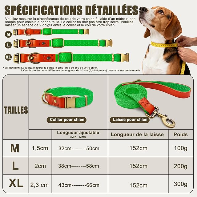 Foto 4 de 6 de Set de Collar y Correa 152cm para Perros L (38-58cm) Nailon (Verde Lima)
