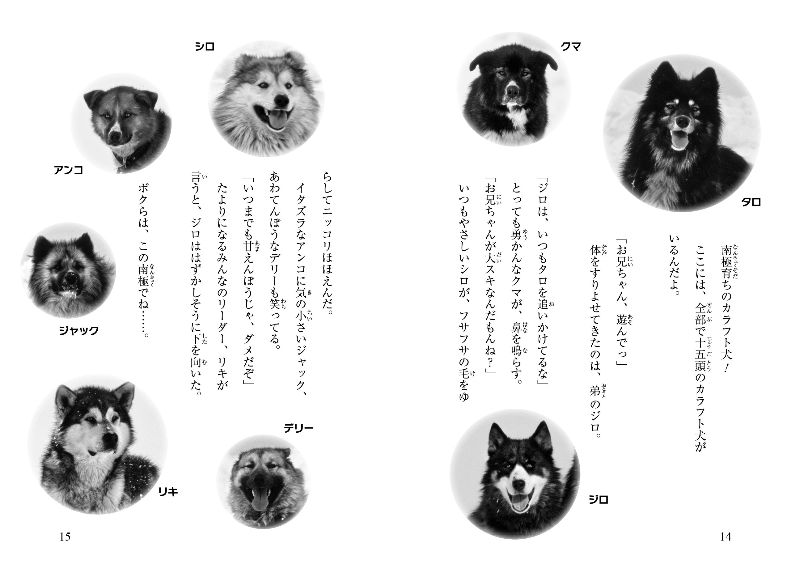 タロ ジロ 南極物語 信じるキモチ 一歩一歩 チーム151e 本 通販 Amazon タロ ジロ 南極物語 信じるキモチ 一歩一歩 チーム151e 本 通販 Amazon