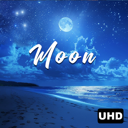 Ambiente de Playa al Claro de Luna: Olas Calmantes para Dormir & Relajarse