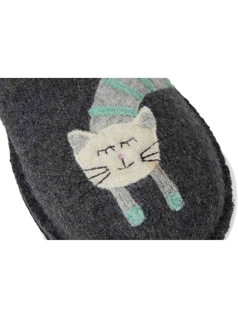 Gray Haflinger Katze