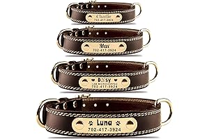 Personalized Leather Dog Collar with Engraved Nameplate