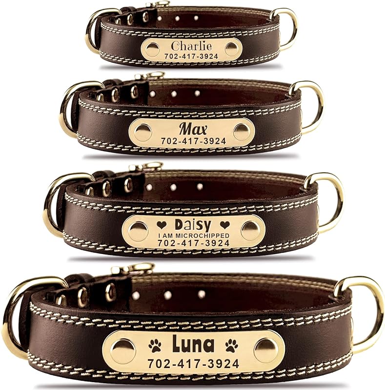 Personalized Dog Collar - Custom Leather Dog Collar with Engravable Nameplate - Durable Name Tag Collar - Customizable Dog Collar - Comfortable ID Collars for Small, Medium, Large Dogs (Large)