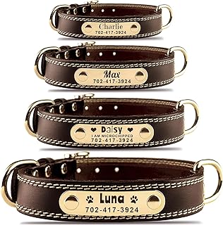 Personalized Leather Dog Collar